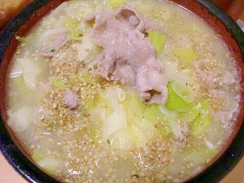 ネギたっぷりと手作り塩豚のラーメン